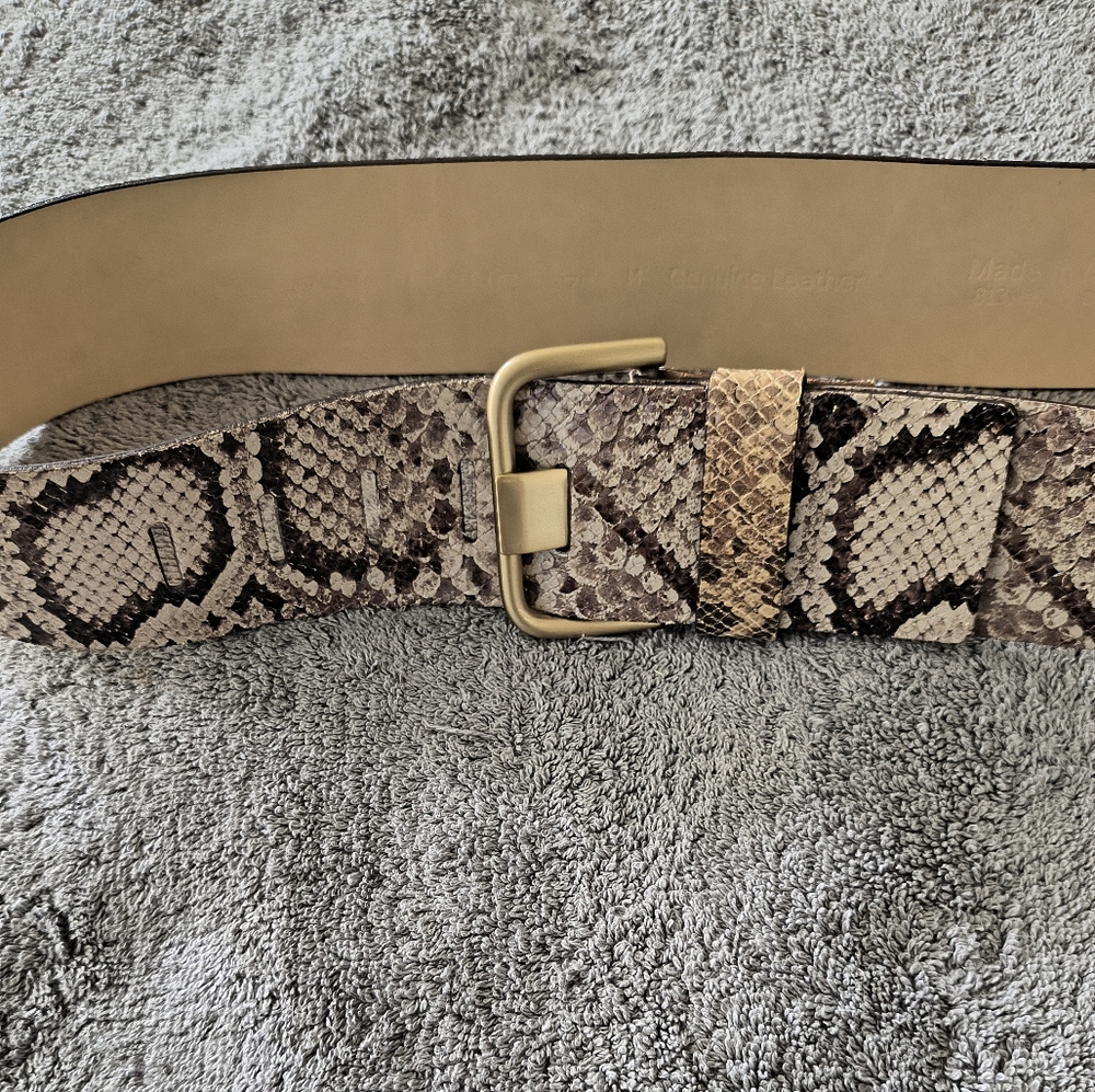 Banana Republic Snake Print Belt with Gold Buckle - Picture 3 of 12